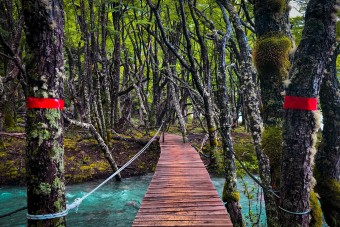 Passerelle dans le Parque Nacional Los Glaciares