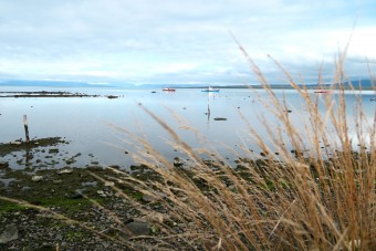 Le Fjord devant Puerto Natales