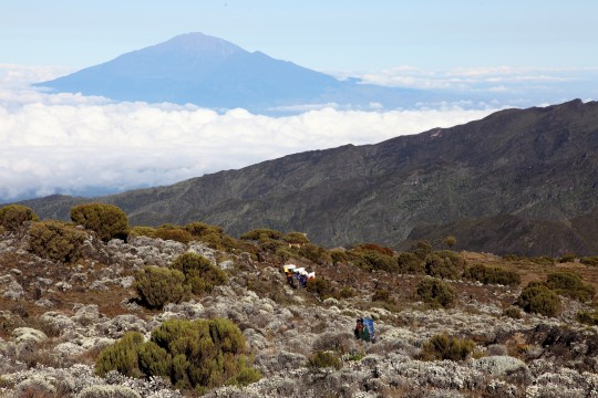 Le Mont Méru vu depuis Shira Cave sur les flancs du Kilimanjaro voisin