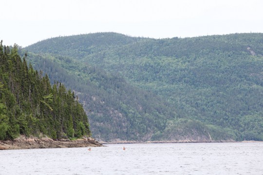 Faire du Kayak dans le Fjord du Saguenay